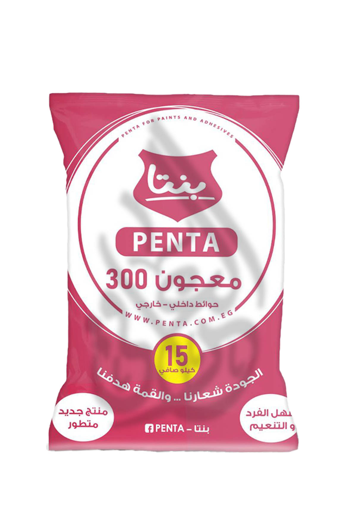 Penta Indoor & Outdoor Paste 300